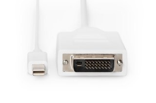 Kabel adapter Displayport 1080p 60Hz FHD Typ miniDP/DVI-D (24+1) M/M biały 2m Digitus