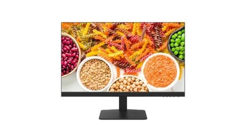 Monitor DS-D5024F2-1P2