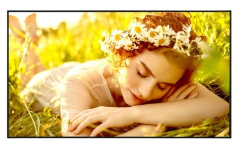 Monitor wielkoformatowy 65UL5Q-E 500cd/m2 UHD 24/7