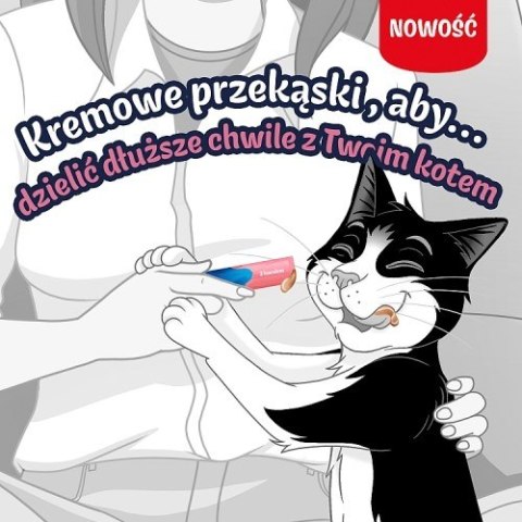 PURINA FELIX Deli Moments Salmon 4x10g