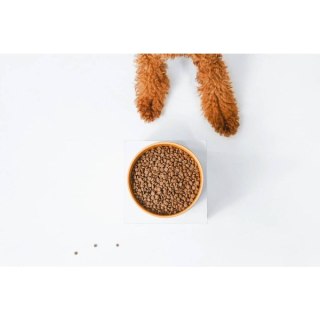 Nature's Protection Red Coat Grain Free Salmon & Krill Adult Small Breeds 10kg