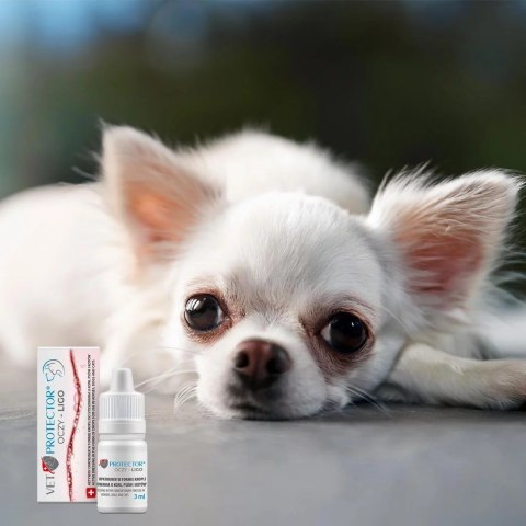 JM SANTE VET PROTECTOR OCZY LIGO krople do oczu 3ml