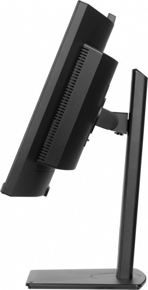 Monitor 34 cale XCB3497WQSNPH-B1 + Norton Small Business card 250G PL