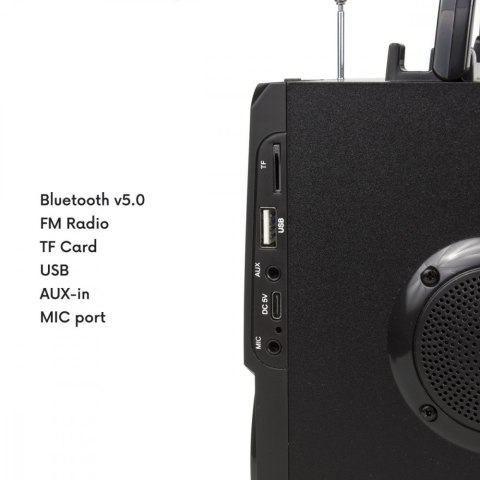 Głośnik Bluetooth radio USB Audiocore AC730 Audiocore