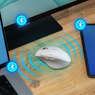 Mysz bezprzewodowa, akumulator, Dual 2xBT +USB2,4G Flying Scroll