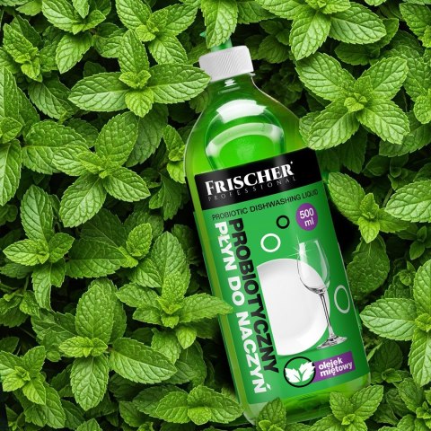 Płyn do mycia naczyń 500 ml
