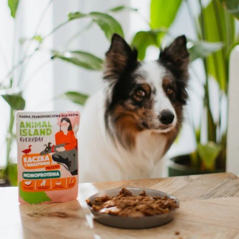 ANIMAL ISLAND Monoproteinowa kaczka dla psa 300g