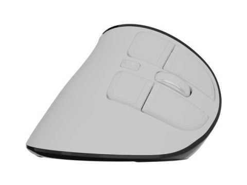 Mysz wertykalna EUPHONIE PRO 2400DPI BT 5.0 bezprzewodowa biała