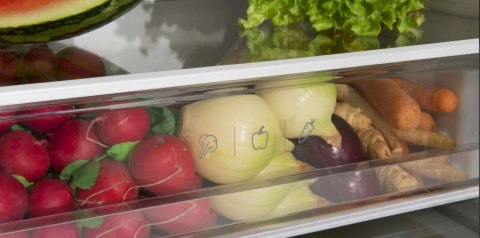 Chłodziarko-zamrażarka do zabudowy BK3045.4 NF(E) Amica