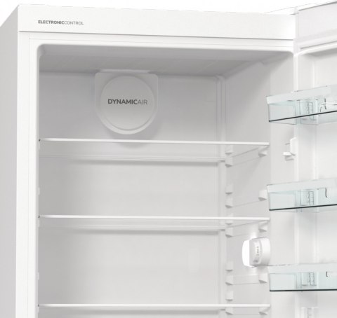 Chłodziarka R619EEW5 Gorenje