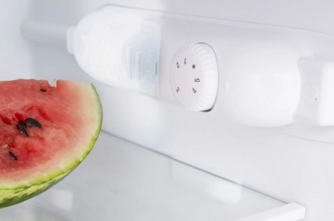 Chłodziarko-zamrażarka FK1815.4U(E) Amica