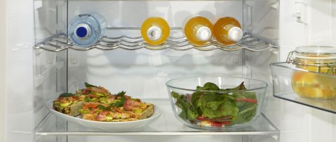 Chłodziarka R619EABK6 Gorenje