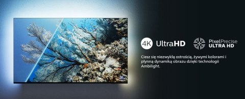 Telewizor 55 cali LED 55PUS8319/12 Philips