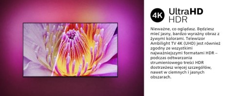 Telewizor 55 cali LED 55PUS8919/12 Philips