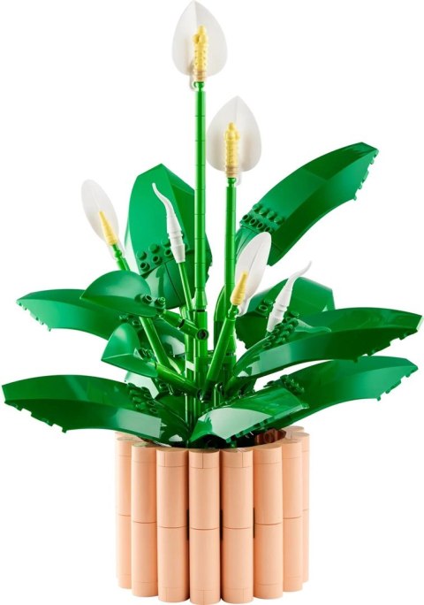 LEGO Botanical Collection 11504 - Skrzydłokwiat