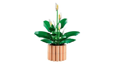 LEGO Botanical Collection 11504 - Skrzydłokwiat