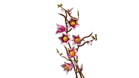 LEGO Botanical Collection 11510 - Gałązki magnolii