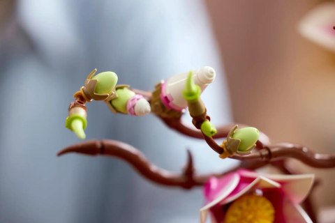 LEGO Botanical Collection 11510 - Gałązki magnolii