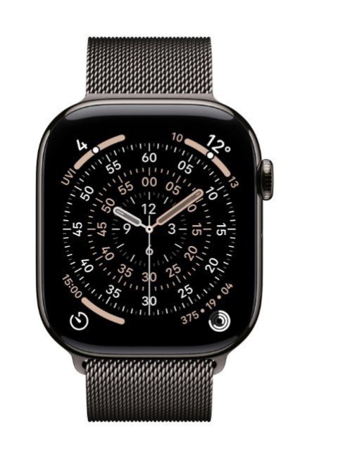 Watch Series 11 GPS + Cellular koperta 42 mm z tytanu w kolorze łupku, bransoleta mediolańska w kolorze łupku