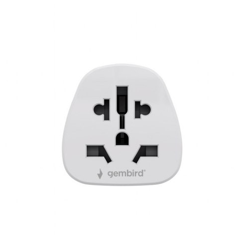 Adapter sieciowy US świat 10A