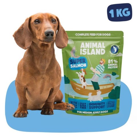 ANIMAL ISLAND łosoś sucha pies 1 kg