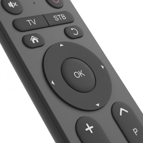 Pilot uniwersalny 2w1 duże przyciski Hama