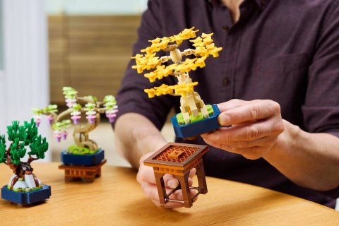 LEGO 10373 Botanical Collection - Małe drzewka Bonsai