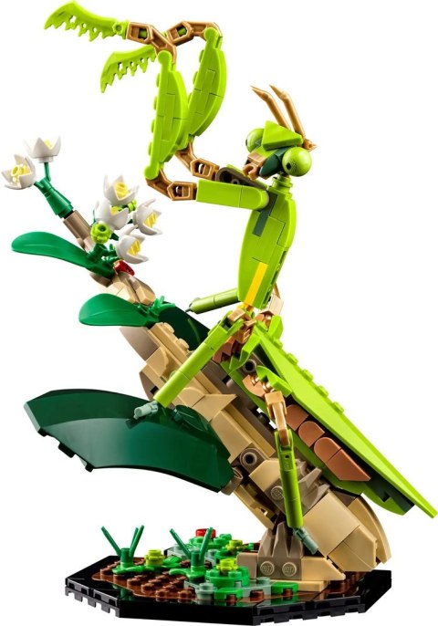 LEGO Ideas 21342 - Kolekcja owadów
