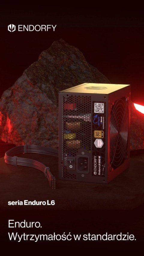 Zasilacz Enduro L6 650W EY7A019
