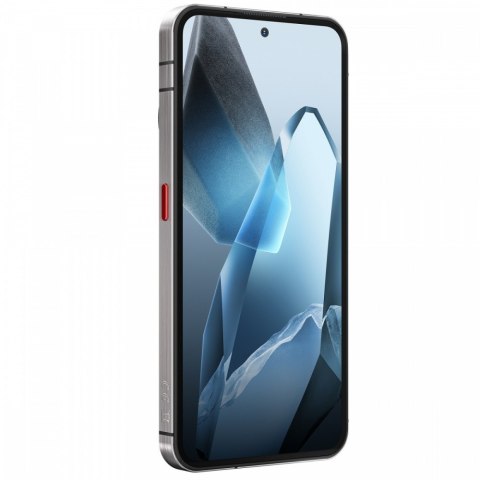 Smartfon WP200 Pro 5G 24GB/1TB IP69K Szary