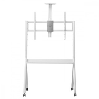 Stojak do TV na kółkach MC-114W Maclean