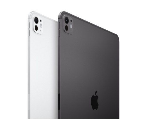 IPad Pro 13-calowy Wi-Fi + Cellular 256GB ze szkłem standardowym - Srebrny