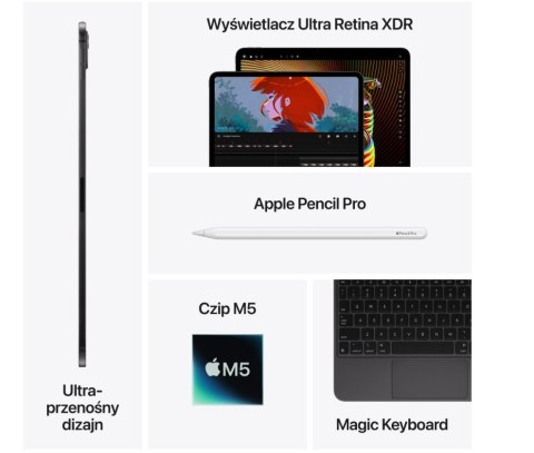 IPad Pro 13-calowy Wi-Fi + Cellular 256GB ze szkłem standardowym - Srebrny