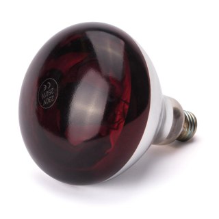 Żarówka na podczerwień do lampy do podgrzewania potraw E27 250W czerwona Hendi